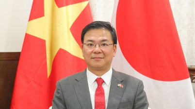 Lichtpuntje op de kaart van de samenwerking tussen Vietnam en Japan