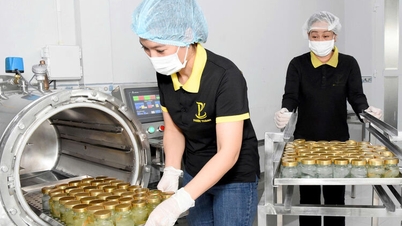 "آن جيانج" يمنح "أجنحة" لتطوير صناعة أعشاش الطيور