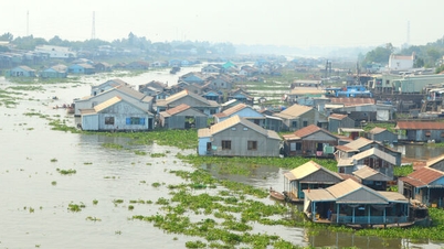 تشاو دوك يتسارع إلى "خط النهاية"