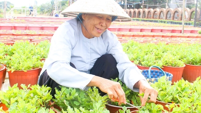 Σπέρνοντας τους σπόρους της άνοιξης, εύχοντας μια χρυσή εποχή