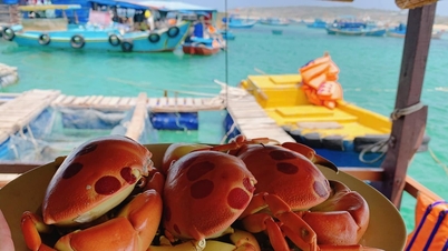 Phu Quy خصوصی زون آبی وسائل کی حفاظت کرتا ہے۔