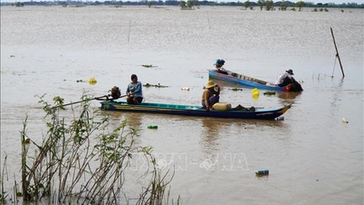 דיג עמוס בסוף עונת השיטפונות