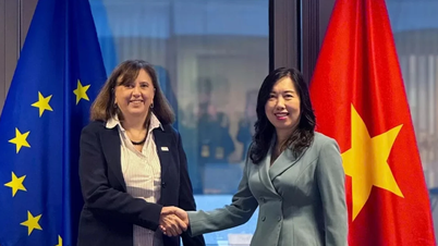 EU menyokong Vietnam dengan 850,000 euro untuk mengatasi akibat banjir