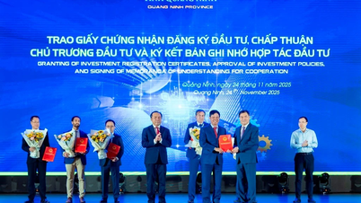 Persahabatan jangka panjang untuk kejayaan Quang Ninh dalam era digital