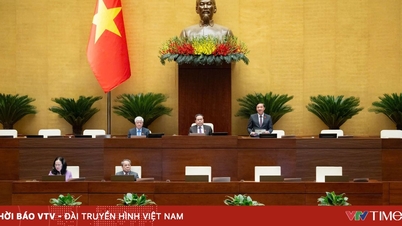 Den 25. november diskuterte nasjonalforsamlingen utkastet til lov om forebygging og kontroll av narkotika (endret).