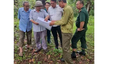 Той самий емоційний підтекст «Жити красиво»