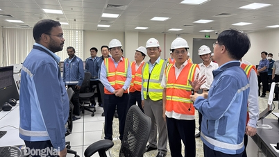 Σημείο καμπής από το πρώτο έργο πράσινης ενέργειας του Βιετνάμ στο Ντονγκ Νάι