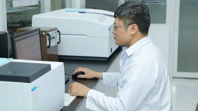 Strengthening policies to attract professors and associate professors