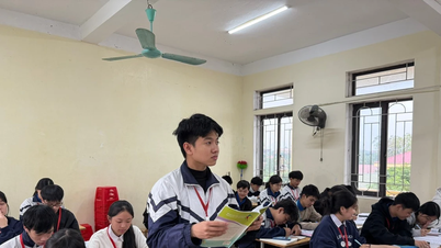 Учень «сільської школи» поділився секретом отримання 8.0 балів IELTS з першої спроби