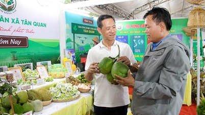 A nyomonkövethetőségi tevékenységekre összpontosítva, biztosítva a termékminőséget