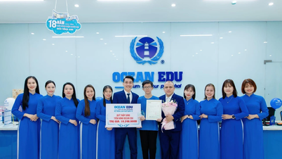 13-річний учень досяг 8.0 балів IELTS - горда подорож підкорення хлопчика з Куанг Трі