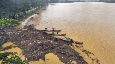 Przekształcanie odpadów organicznych w zasoby – w stronę zielonego odcienia