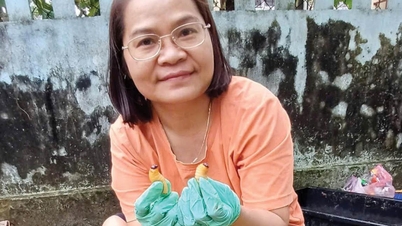 รูปแบบการดำรงชีพที่แปลกและมีเอกลักษณ์ในบิ่ญเดียน