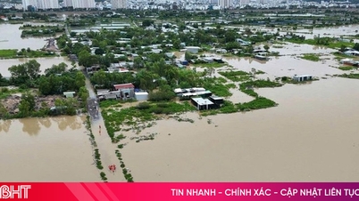 Bộ GD-ĐT sẽ cấp phát sách giáo khoa cho toàn bộ học sinh vùng lũ