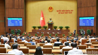 Nowy system polityki i wymogi mające na celu poprawę efektywności zarządzania dziedzictwem