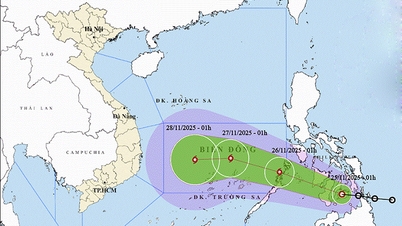 25 नवंबर का मौसम: ठंडी हवाएँ तेज़ होंगी, उष्णकटिबंधीय दबाव पूर्वी सागर की ओर बढ़ेगा, समुद्र में उथल-पुथल