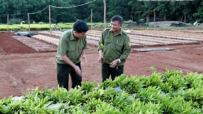 Усунення перешкод для розширення сертифікованих зон сталого лісництва