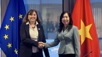 UE sprijină Vietnamul cu 850.000 de euro pentru a depăși consecințele inundațiilor