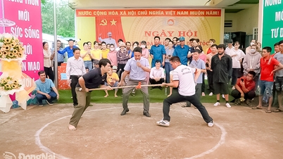 동나이의 축제 관리 및 조직의 효과성 증진