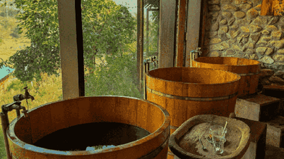 Transformarea biodiversității în terapie naturală de vindecare