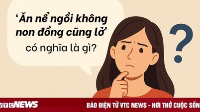 Este provérbio precisa de um 'especialista em línguas' para explicá-lo.