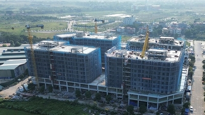 בקרוב יוקם מנגנון מיוחד ל"שבירת הקרח" בנושא דיור ציבורי.