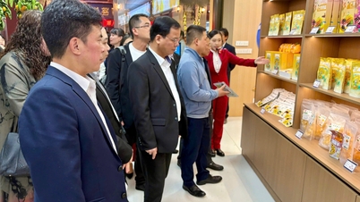 Den provinsiella delegationen deltog i Bach Sac-Cao Bang Economic-Trade Week 2025 - Cao Bang Electronic Newspaper