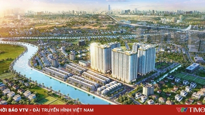 שוק הנדל"ן: דיור יציב, אתרי נופש ממתינים לפריצת דרך משפטית