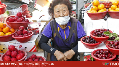 韓国、高齢者雇用モデルを推進