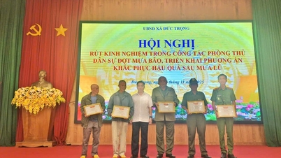 دوک ترونگ فوراً بر بلایای طبیعی غلبه کرده و از آنها جلوگیری می‌کند