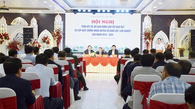 Nghe An : Des changements importants dans la gestion forestière grâce au projet d'allocation des terres forestières associé à l'attribution des terres forestières