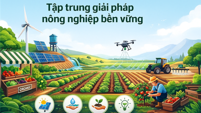 Medfølger Green Economic Forum: Ca Mau prioriterer miljøvennlige landbruksløsninger