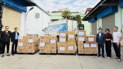 하이퐁 보건 부문, 다크락 지원에 총력