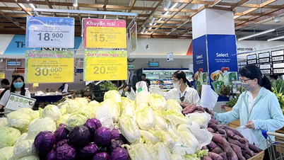 Saigon Co.op lanza el mayor paquete de promoción de fin de año