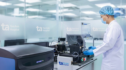 לראשונה, וייטנאם מבצעת בדיקות סקר לגילוי הפטיטיס D לפי סטנדרטים בינלאומיים, במטרה לפתח מחקר תרופות ולהמציא טיפולים.