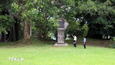 Främjar den biologiska mångfalden i Tan Trao Special National Monument
