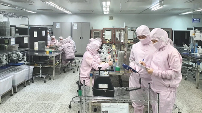 ארגונים משתלבים באופן יזום ברמה בינלאומית ומשתתפים בשרשראות ערך גלובליות.