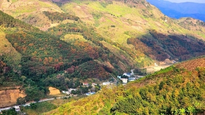 Лай Чау: Планування боротьби з деградацією лісів