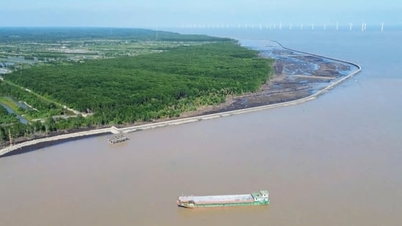 Ca Mau: De la alunecări de teren la oportunități pentru dezvoltarea economică marină