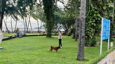 Ho Chi Minh: Właściciele psów i kotów są zobowiązani do złożenia oświadczenia lokalnym władzom