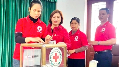 Vietnams fosterlandsfrontskommitté i Hai Phong stad fick mer än 3,9 miljarder VND för att stödja människor i det centrala höglandet och den centrala regionen.