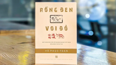 Interessante verhalen over Vietnamese zakenlieden in het begin van de 20e eeuw