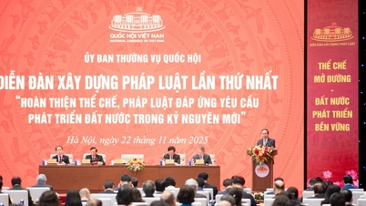 Оглядываясь на Первый форум по построению права: улучшение институционального потенциала низовых должностных лиц