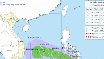 آخرین به‌روزرسانی‌ها در مورد وضعیت آب‌وهوای گرمسیری نزدیک دریای شرقی