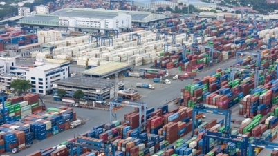 Οι εξαγωγές βιετναμέζικων προϊόντων στις ΗΠΑ έφτασαν σε επίπεδα ρεκόρ