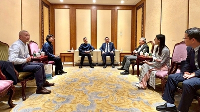 ویتنام - جیانگ سو (چین) تعاون کو بڑھاتا ہے، مارکیٹ کو بڑھاتا ہے اور دو طرفہ سیاحت کو فروغ دیتا ہے