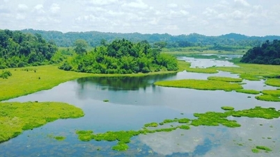 Wichtige Grundlage für Dong Nai zur Entwicklung grüner