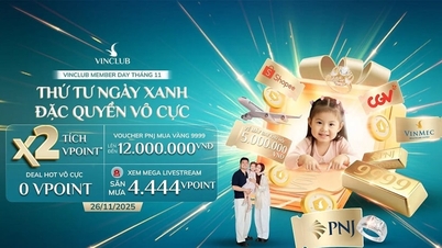 VinClub ممبر ڈے 26 نومبر: ڈبل بونس پوائنٹس اور بہت سی مراعات