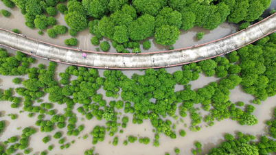 Краса місця, де «земля вміє цвісти, а ліс — ходити» у найпівденнішій частині Вітчизни