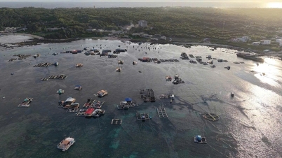 フークイ特別区、嵐15号に積極的に対応